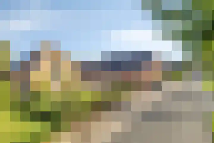 Zuiderdiep 483 Nieuw-Buinen thumbnail 5
