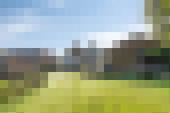 Zuiderdiep 483 Nieuw-Buinen thumbnail 50