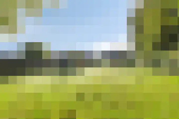 Zuiderdiep 483 Nieuw-Buinen thumbnail 52