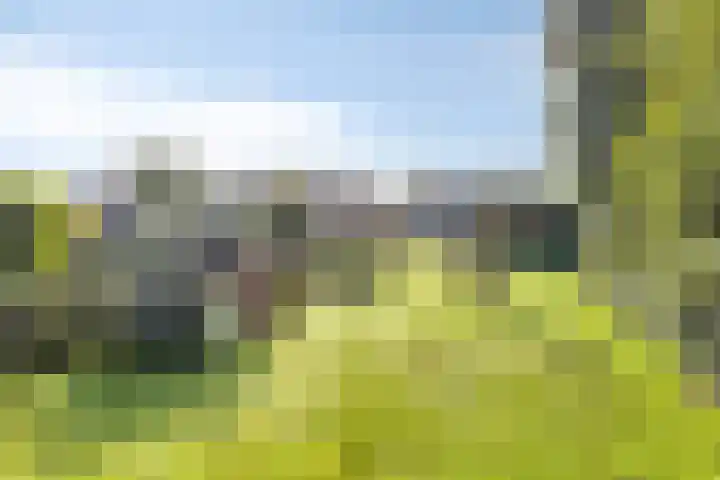 Zuiderdiep 483 Nieuw-Buinen thumbnail 54