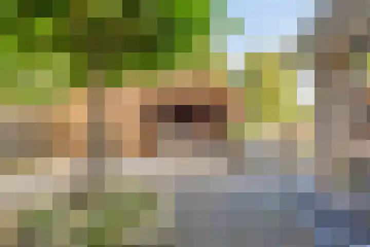 Zuiderdiep 483 Nieuw-Buinen thumbnail 6