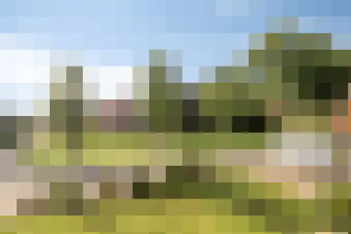 Zuiderdiep 483 Nieuw-Buinen thumbnail 8
