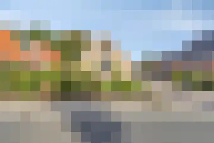 Zuiderdiep 483 Nieuw-Buinen thumbnail 9