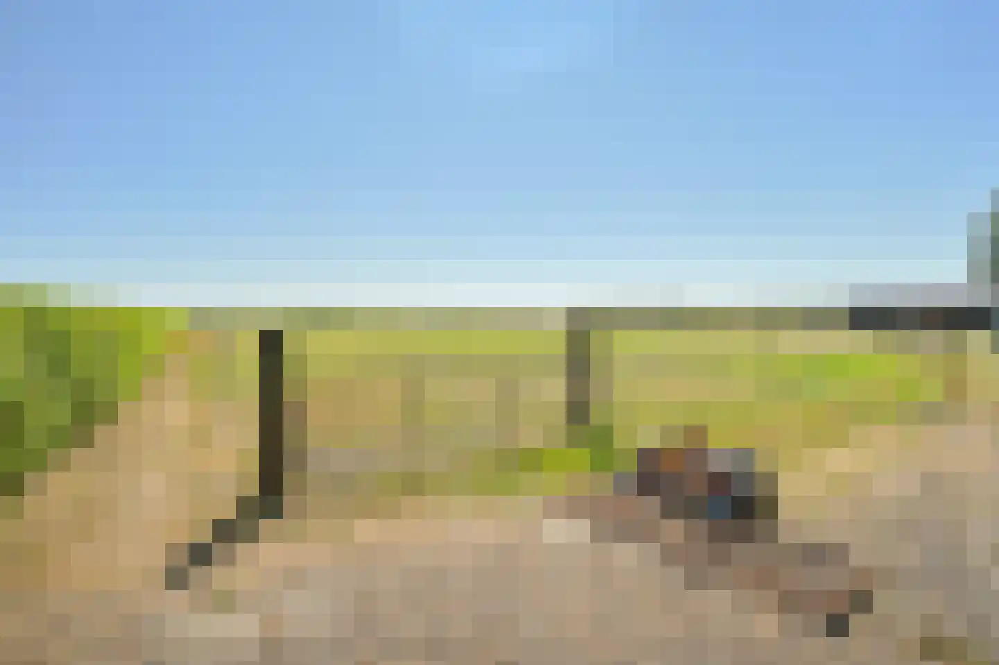 Zuiderdiep 485 Valthermond thumbnail 114