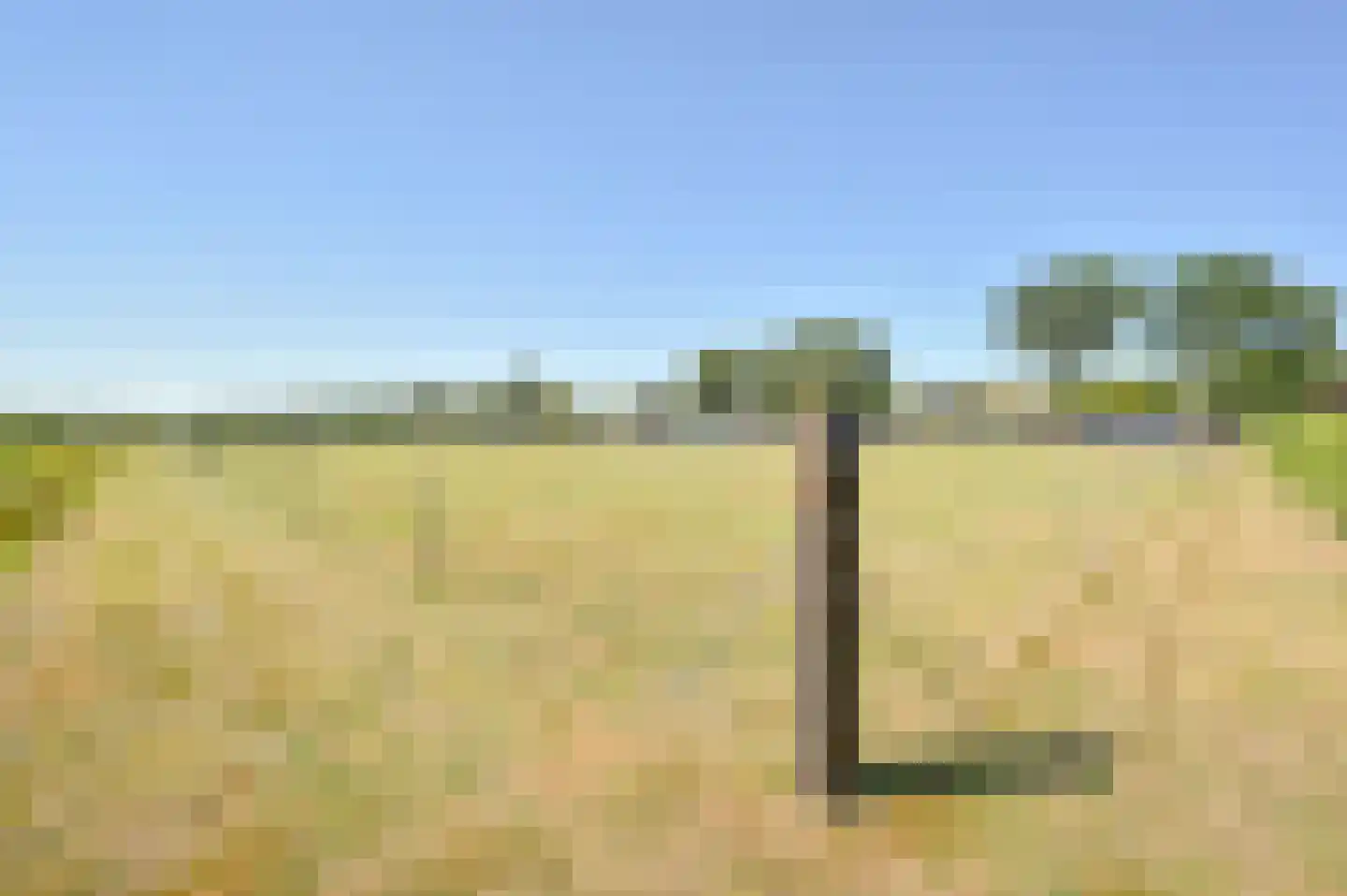 Zuiderdiep 485 Valthermond thumbnail 116
