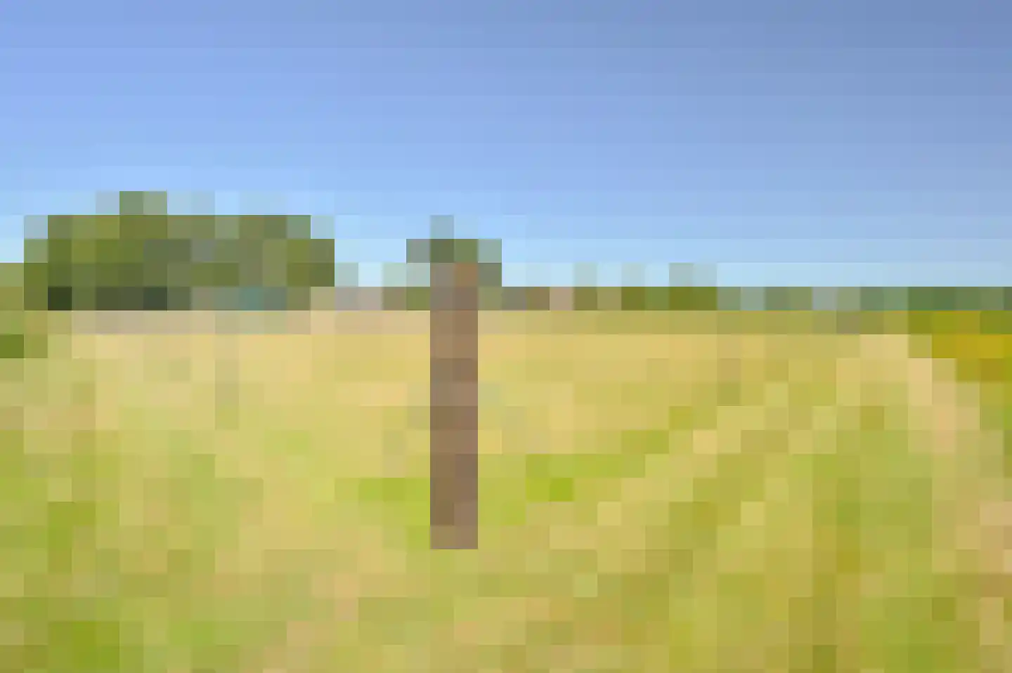 Zuiderdiep 485 Valthermond thumbnail 117