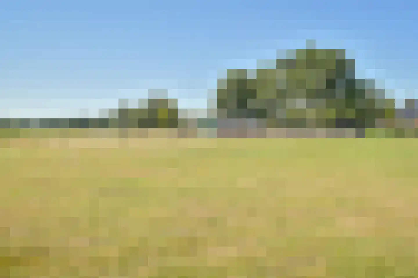 Zuiderdiep 485 Valthermond thumbnail 118