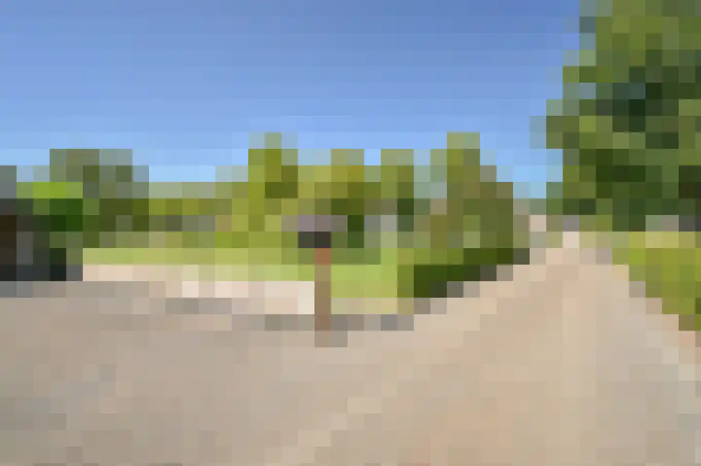 Zuiderdiep 485 Valthermond thumbnail 14