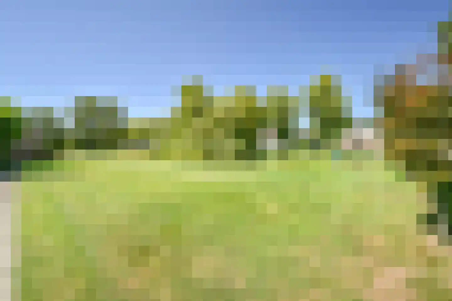 Zuiderdiep 485 Valthermond thumbnail 15