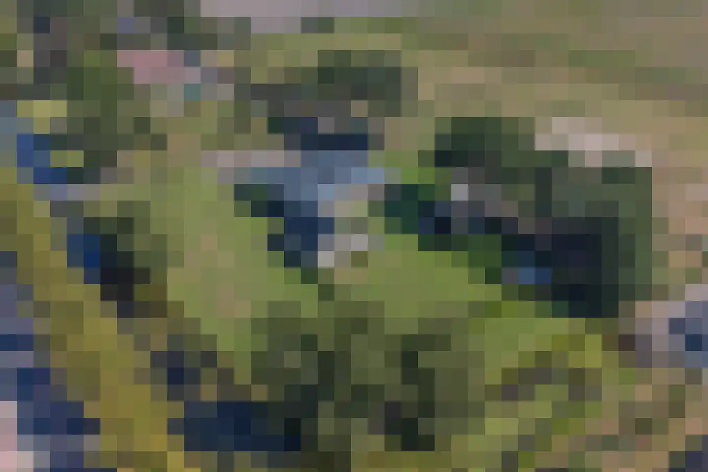 Zuiderdiep 485 Valthermond thumbnail 192