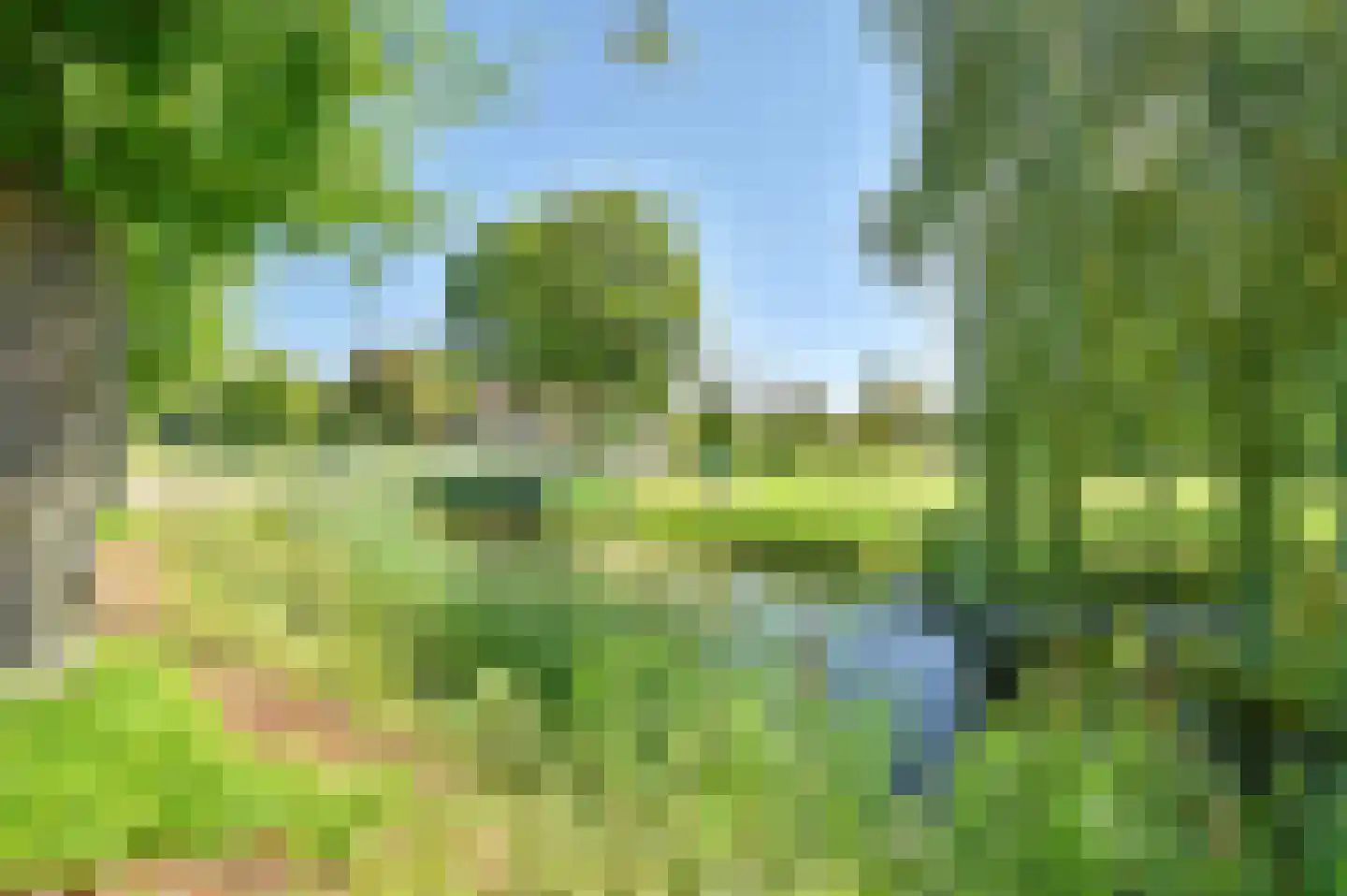 Zuiderdiep 485 Valthermond thumbnail 5