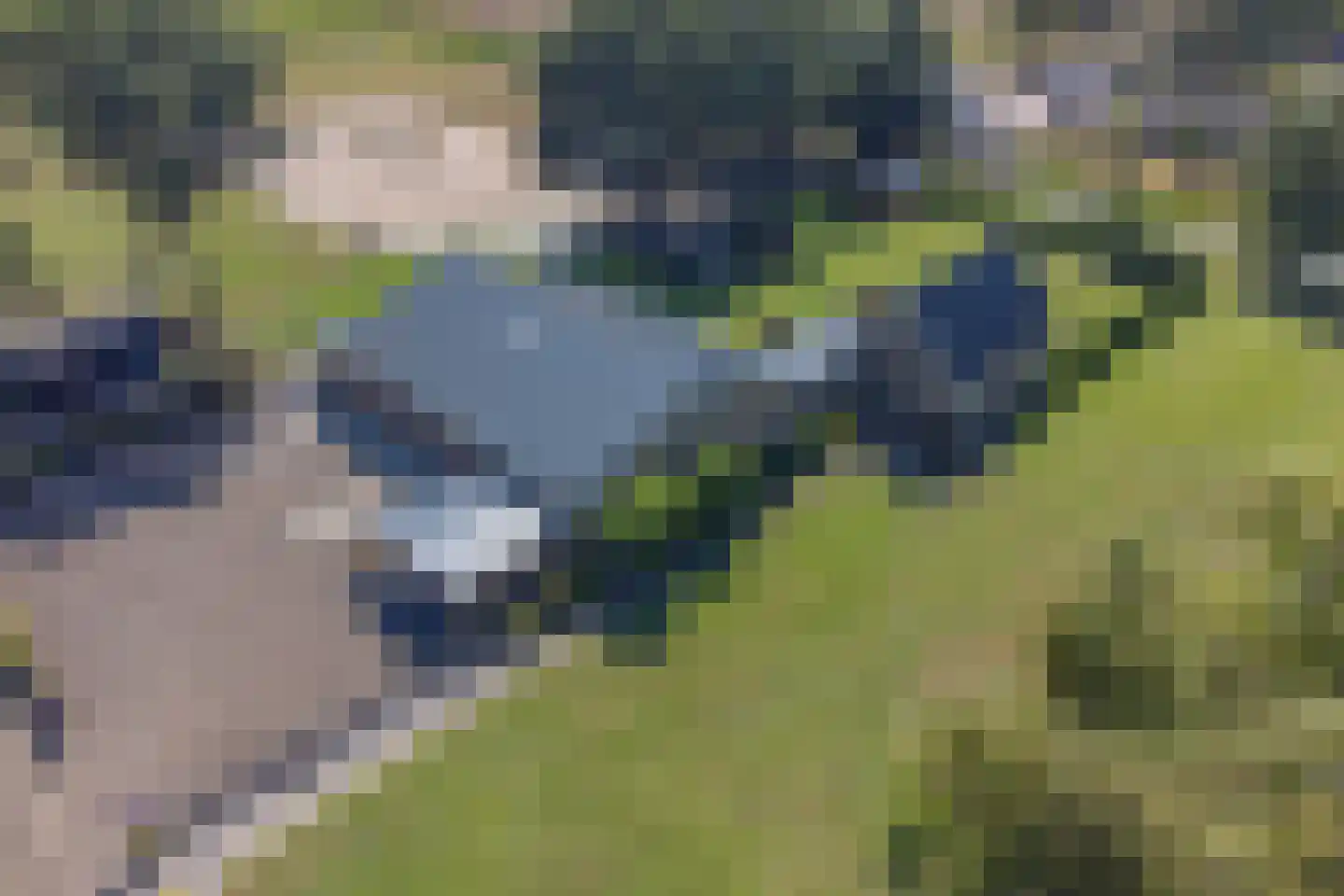 Zuiderdiep 485 Valthermond thumbnail 6
