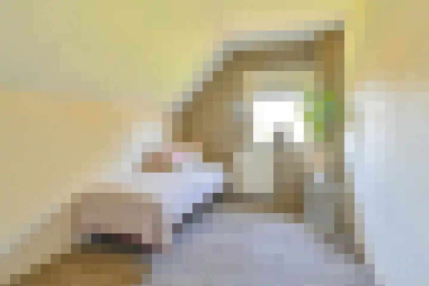 Zuiderdiep 485 Valthermond thumbnail 75