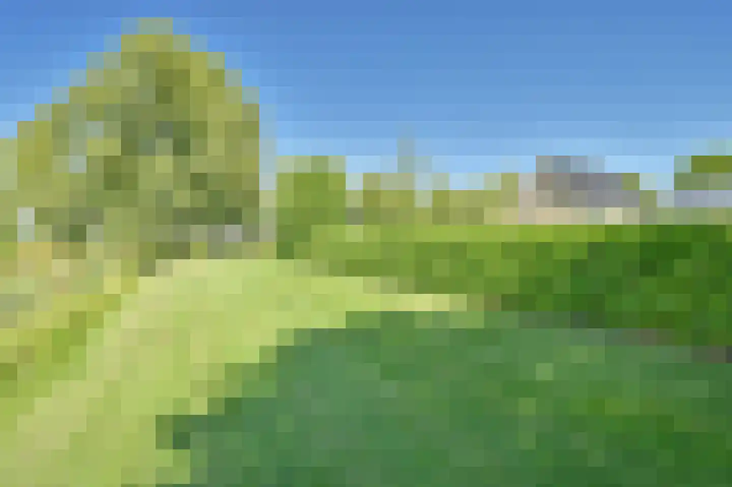 Zuiderdiep 485 Valthermond thumbnail 81