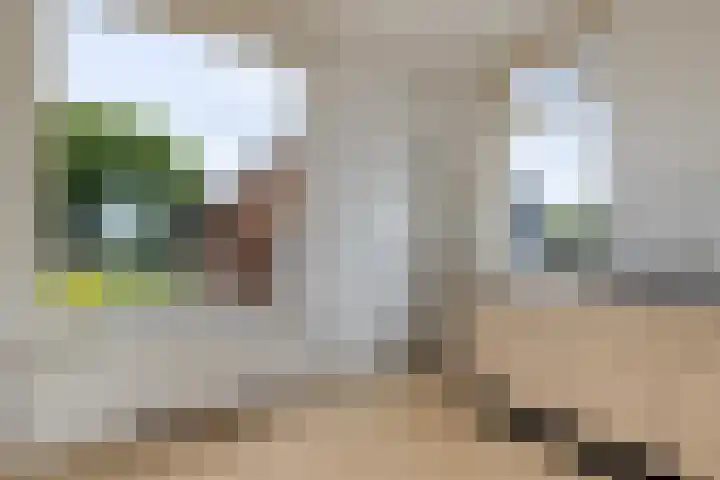 Zuiderdiep 497 Nieuw-Buinen thumbnail 11