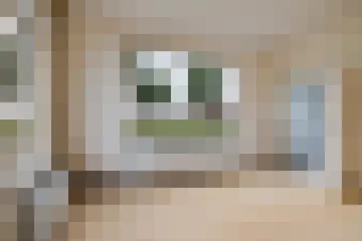Zuiderdiep 497 Nieuw-Buinen thumbnail 12
