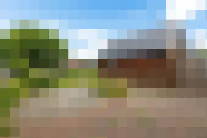 Zuiderdiep 497 Nieuw-Buinen thumbnail 18