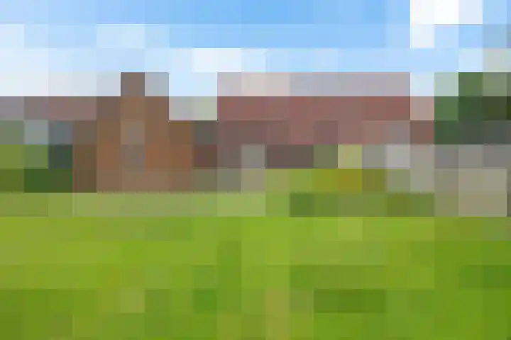 Zuiderdiep 497 Nieuw-Buinen thumbnail 20