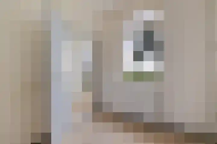 Zuiderdiep 497 Nieuw-Buinen thumbnail 4