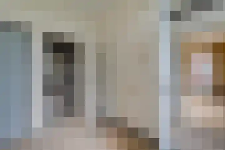 Zuiderdiep 497 Nieuw-Buinen thumbnail 5