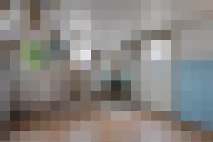 Zuiderdiep 497 Nieuw-Buinen thumbnail 8