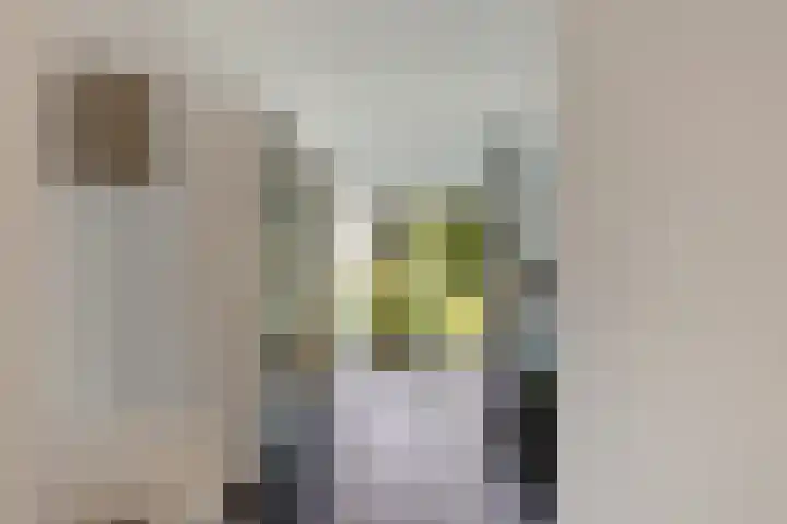 Zuiderdiep 498 Valthermond thumbnail 14