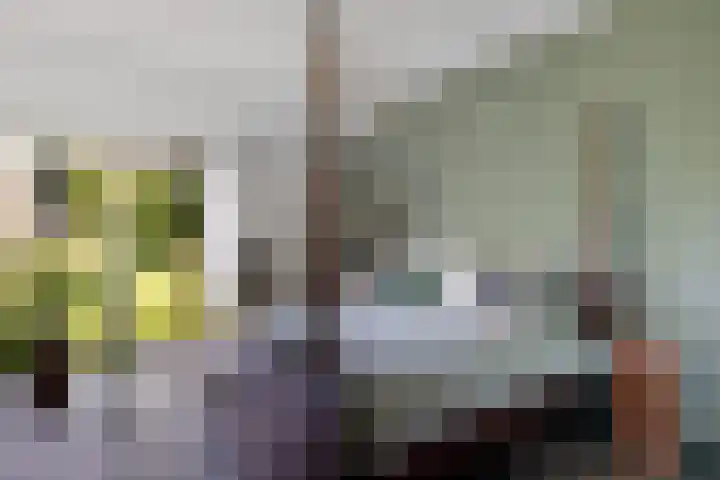Zuiderdiep 498 Valthermond thumbnail 15
