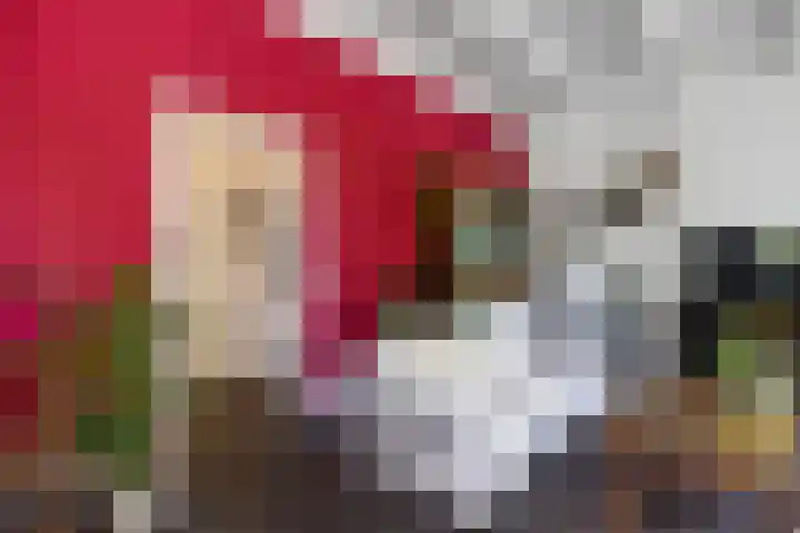 Zuiderdiep 498 Valthermond thumbnail 21