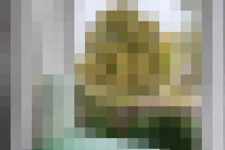 Zuiderdiep 498 Valthermond thumbnail 22