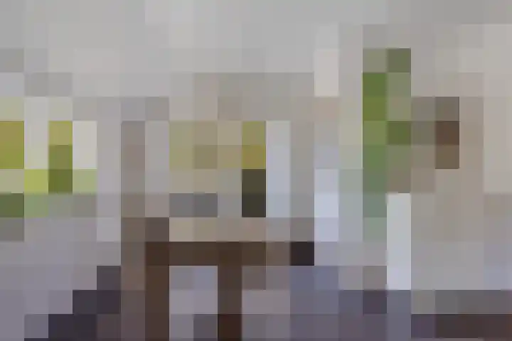 Zuiderdiep 498 Valthermond thumbnail 26