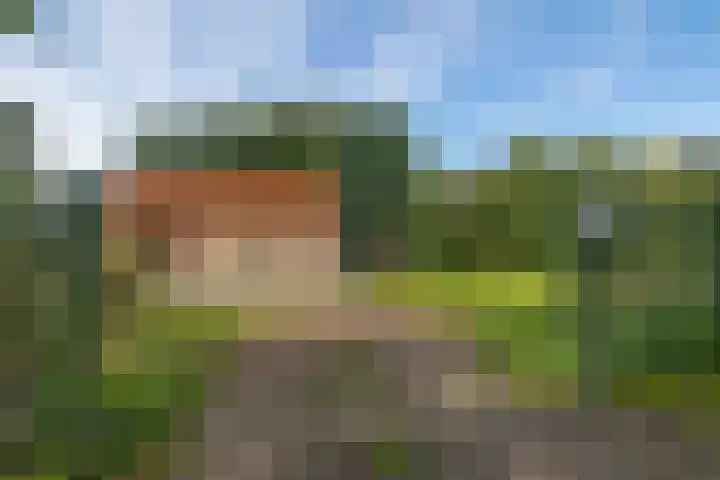 Zuiderdiep 498 Valthermond thumbnail 33