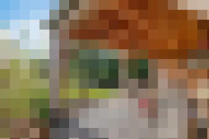 Zuiderdiep 498 Valthermond thumbnail 35