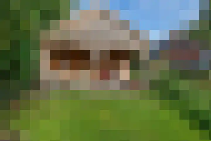 Zuiderdiep 498 Valthermond thumbnail 36