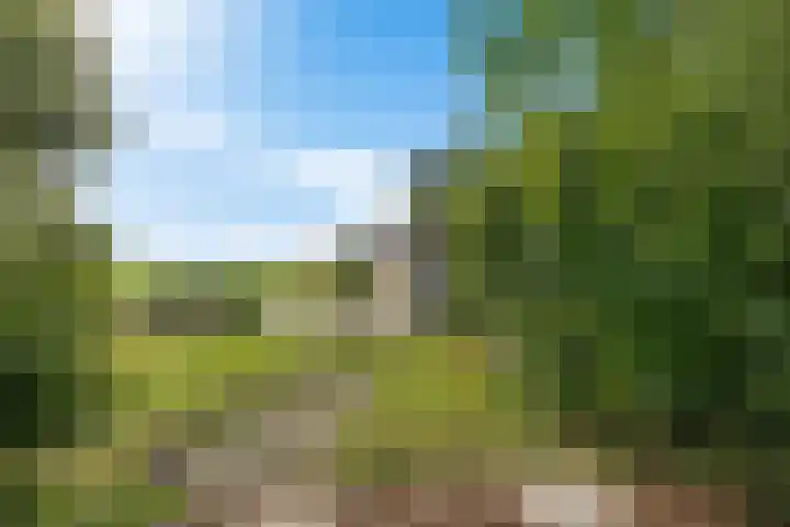 Zuiderdiep 498 Valthermond thumbnail 37