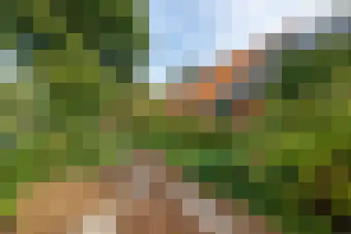 Zuiderdiep 498 Valthermond thumbnail 38