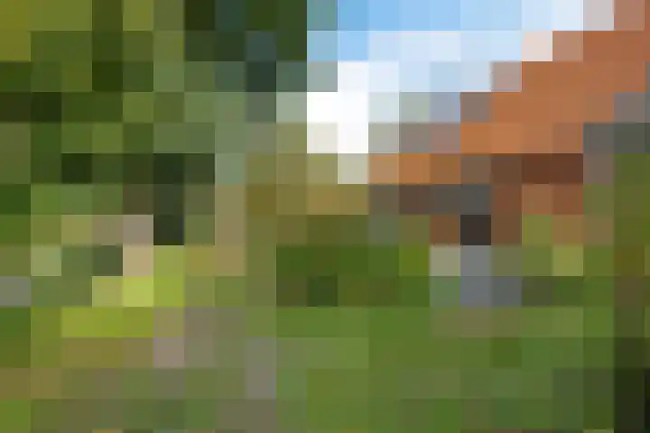 Zuiderdiep 498 Valthermond thumbnail 39