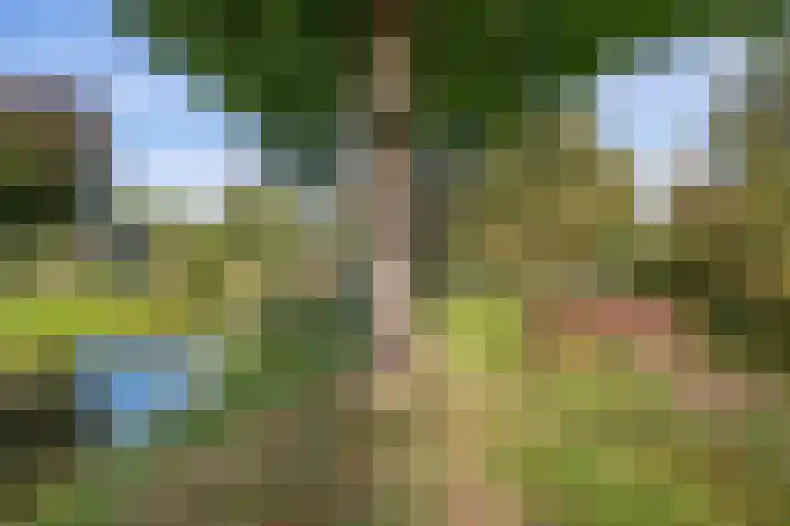 Zuiderdiep 498 Valthermond thumbnail 40