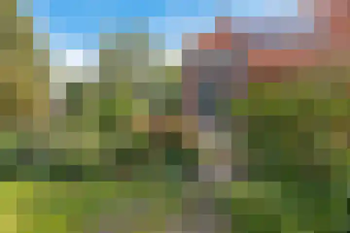 Zuiderdiep 498 Valthermond thumbnail 42