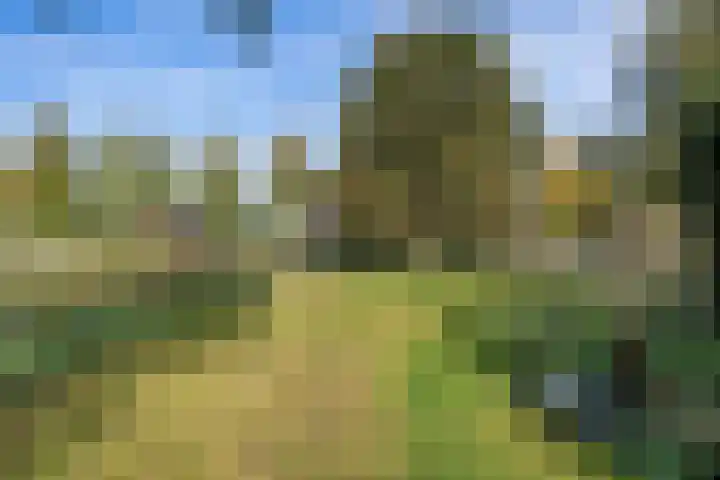 Zuiderdiep 498 Valthermond thumbnail 43