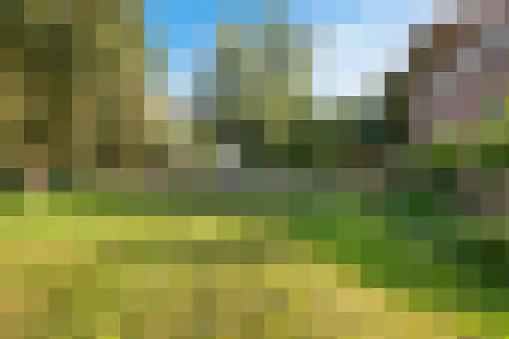 Zuiderdiep 498 Valthermond thumbnail 44