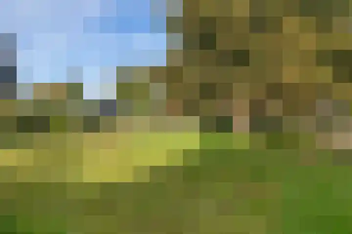 Zuiderdiep 498 Valthermond thumbnail 45