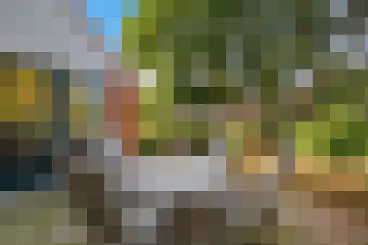 Zuiderdiep 498 Valthermond thumbnail 46