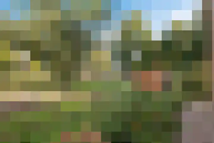 Zuiderdiep 498 Valthermond thumbnail 47