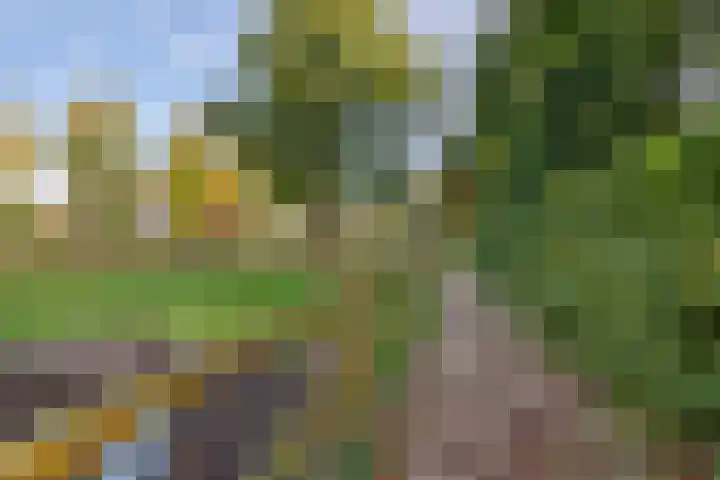 Zuiderdiep 498 Valthermond thumbnail 48