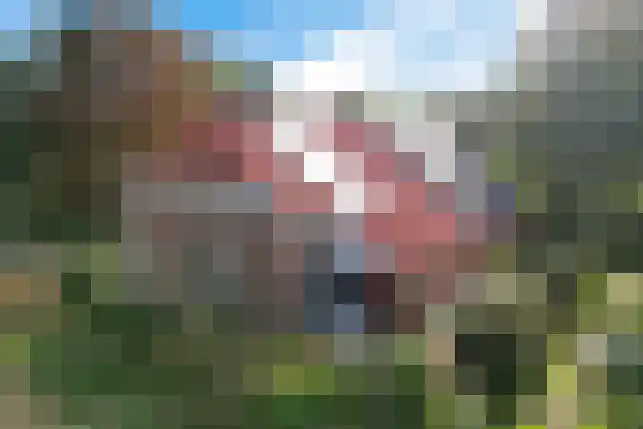 Zuiderdiep 498 Valthermond thumbnail 49