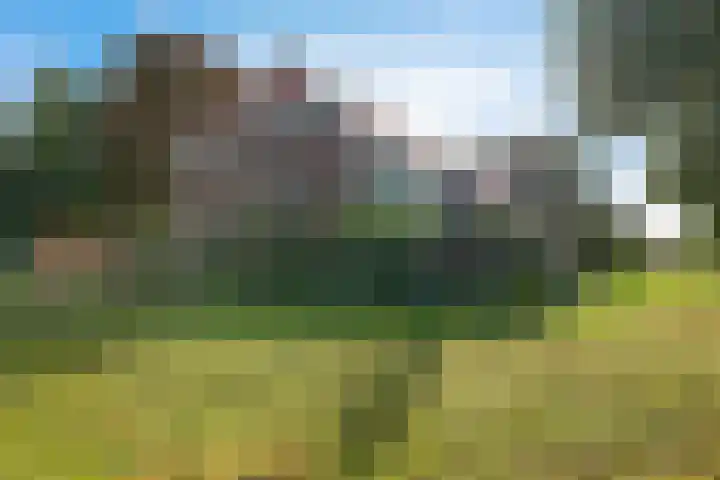 Zuiderdiep 498 Valthermond thumbnail 5