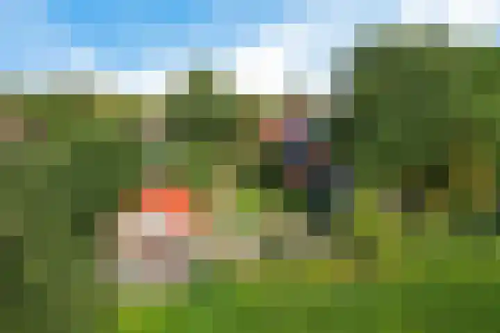 Zuiderdiep 498 Valthermond thumbnail 50