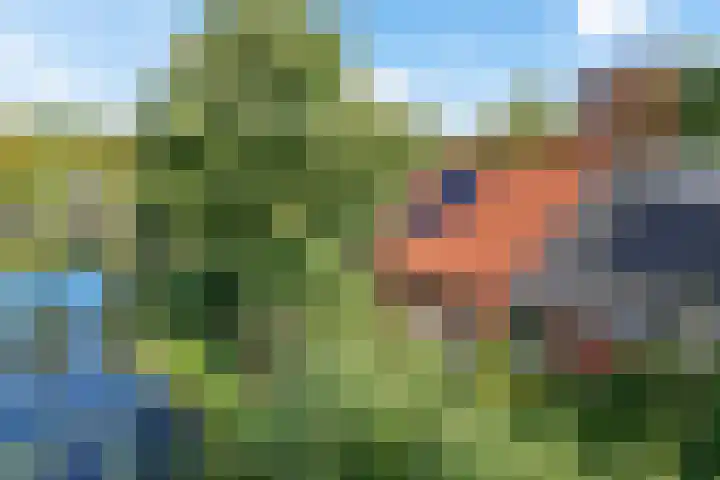 Zuiderdiep 498 Valthermond thumbnail 51