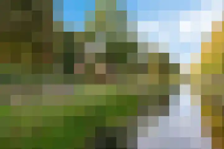 Zuiderdiep 498 Valthermond thumbnail 52