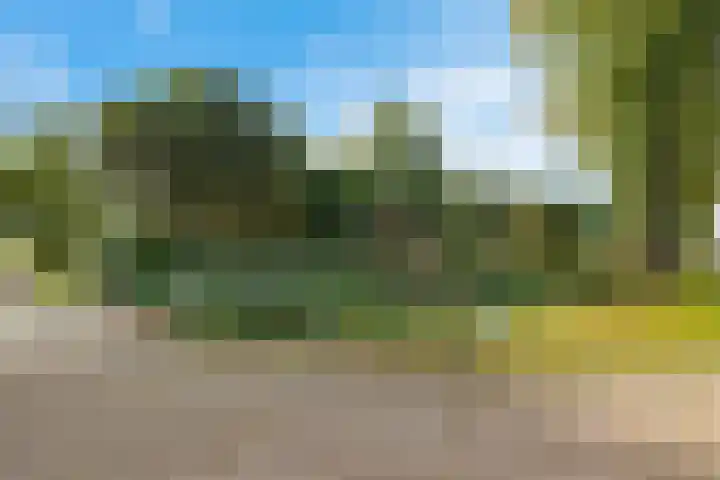 Zuiderdiep 498 Valthermond thumbnail 53